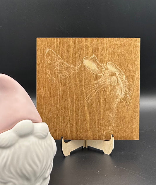 Lunettes et Moustaches